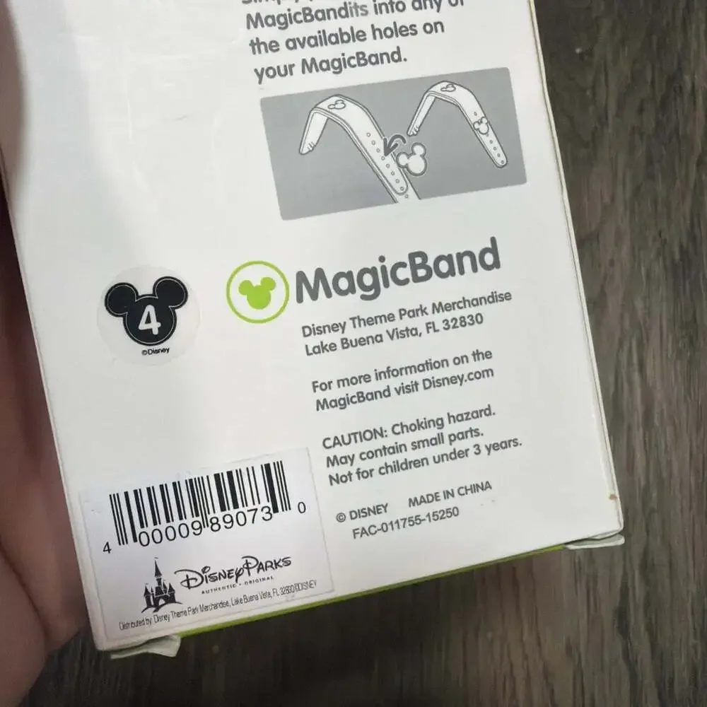 Disney parks magic